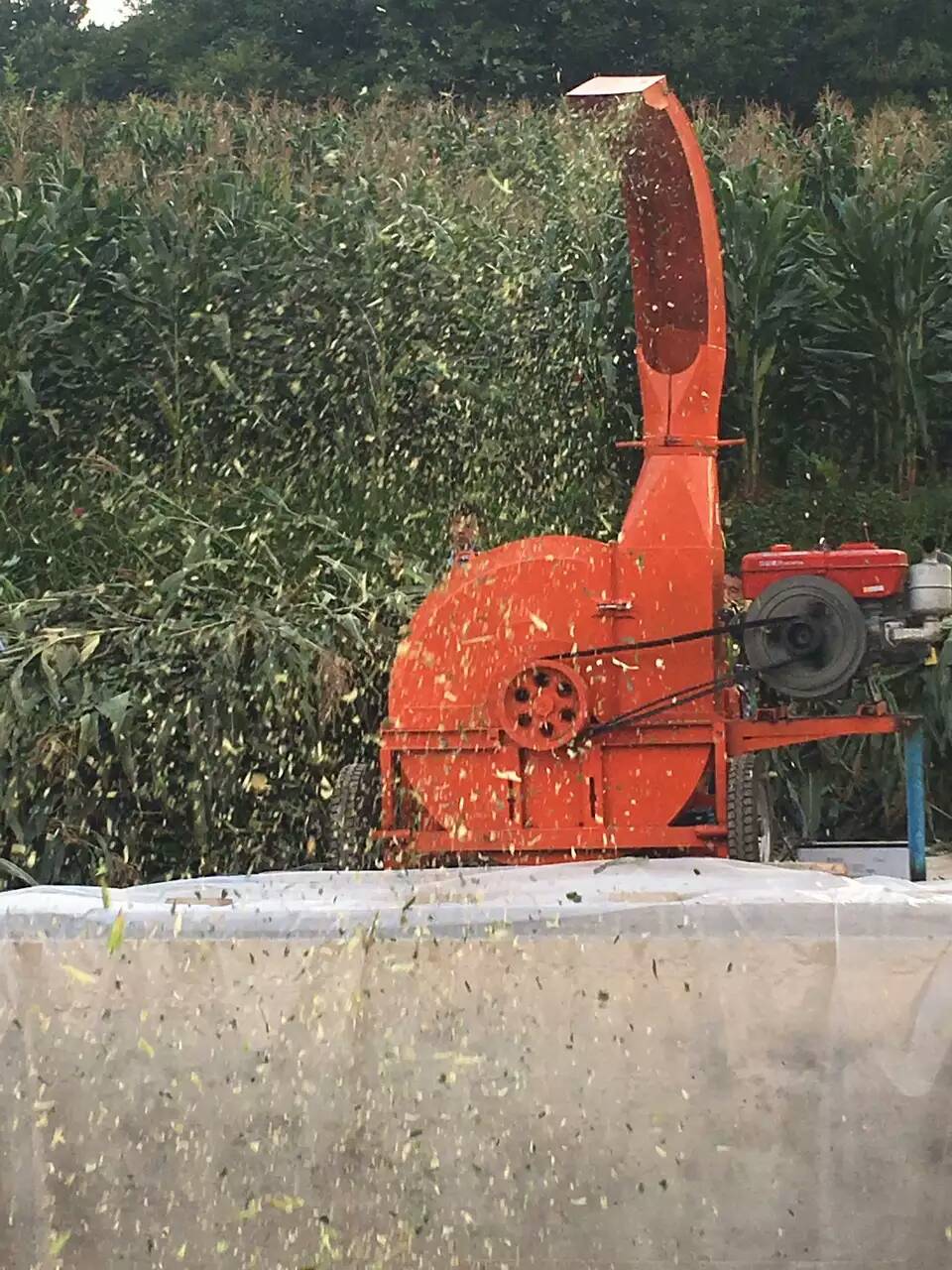 內(nèi)蒙古大型10噸鍘草機(jī)揉絲機(jī)視頻多少錢(qián)一臺(tái)？
